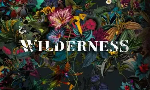 Wilderness Festival